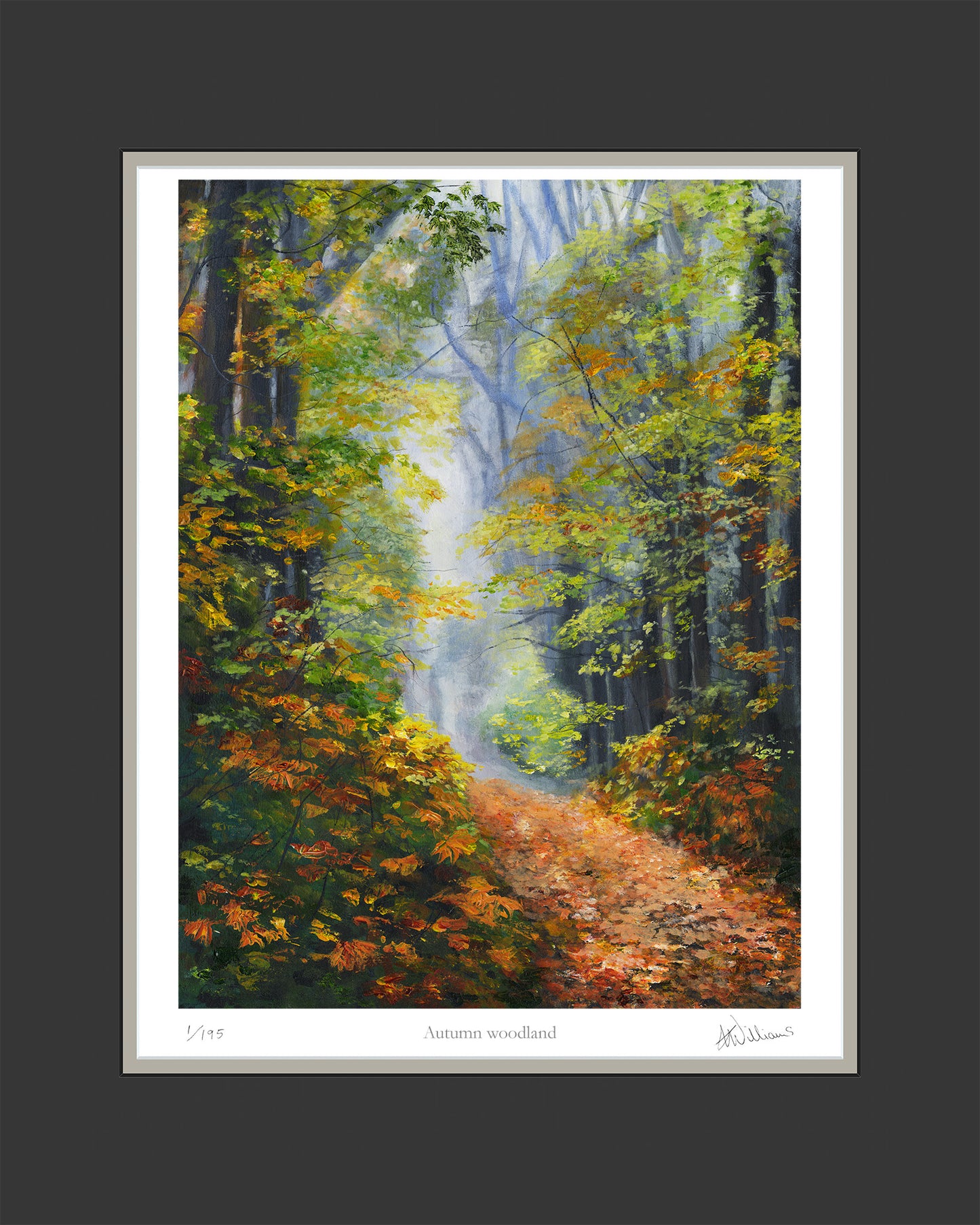 Autumn Woodland - limited edition