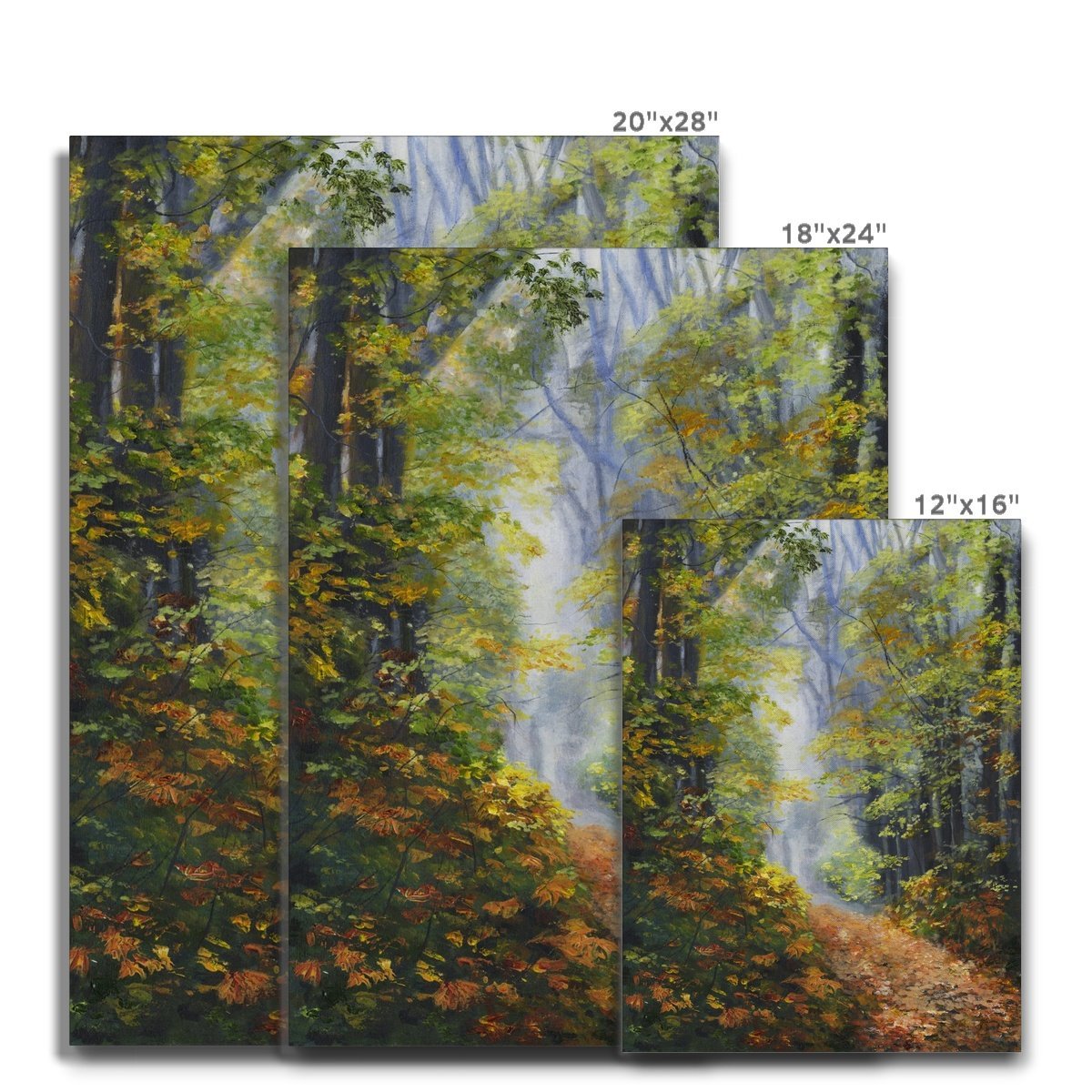 Autumn Woodland Canvas