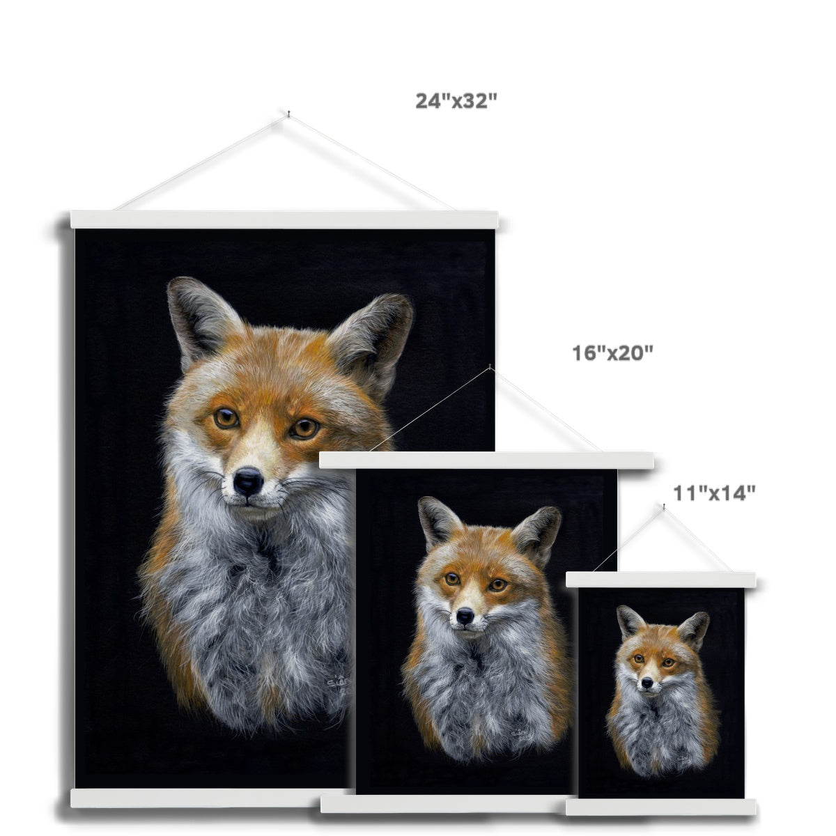 Red Fox Fine Art Print with Hanger