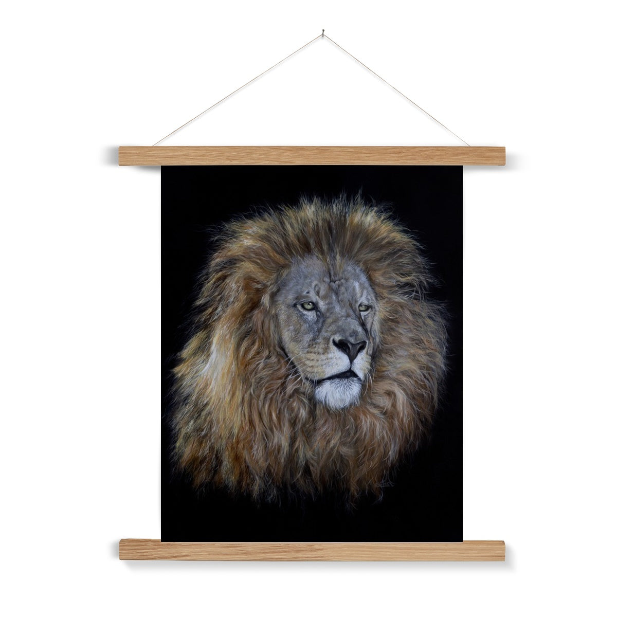 African Lion Fine Art Print with Hanger