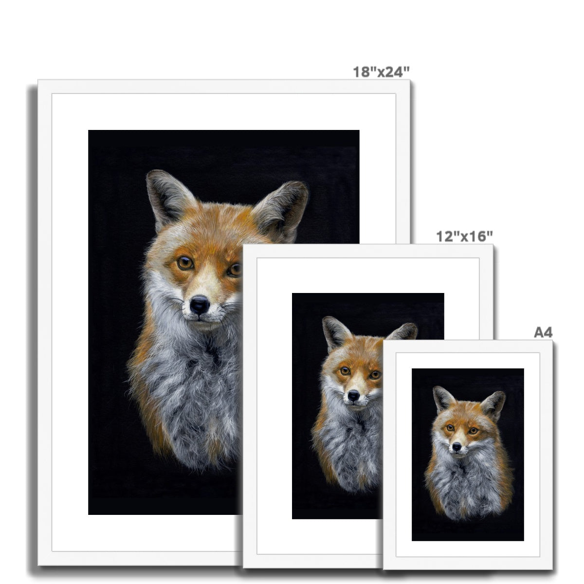 Red Fox Framed & Mounted Print