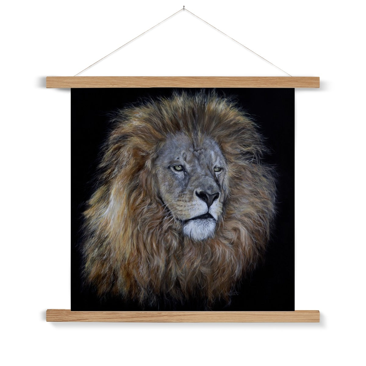 African Lion Fine Art Print with Hanger