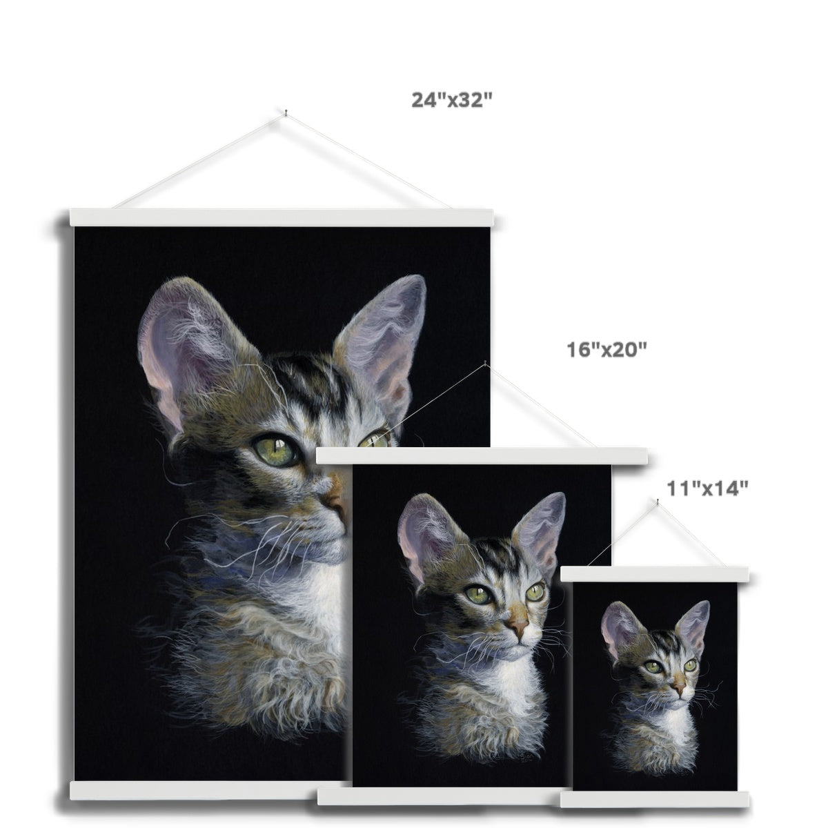 Young LaPerm Fine Art Print with Hanger