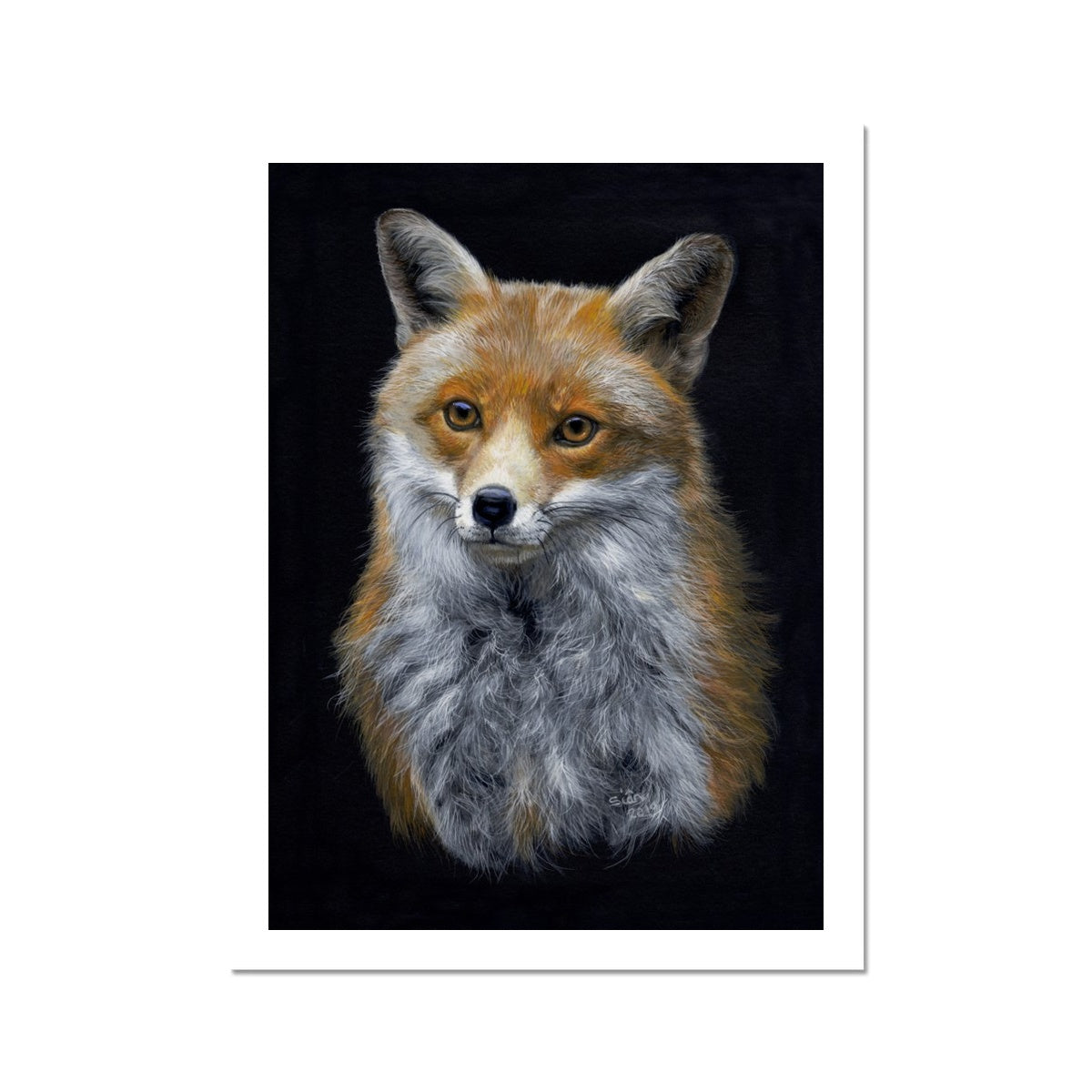 Red Fox Fine Art Print
