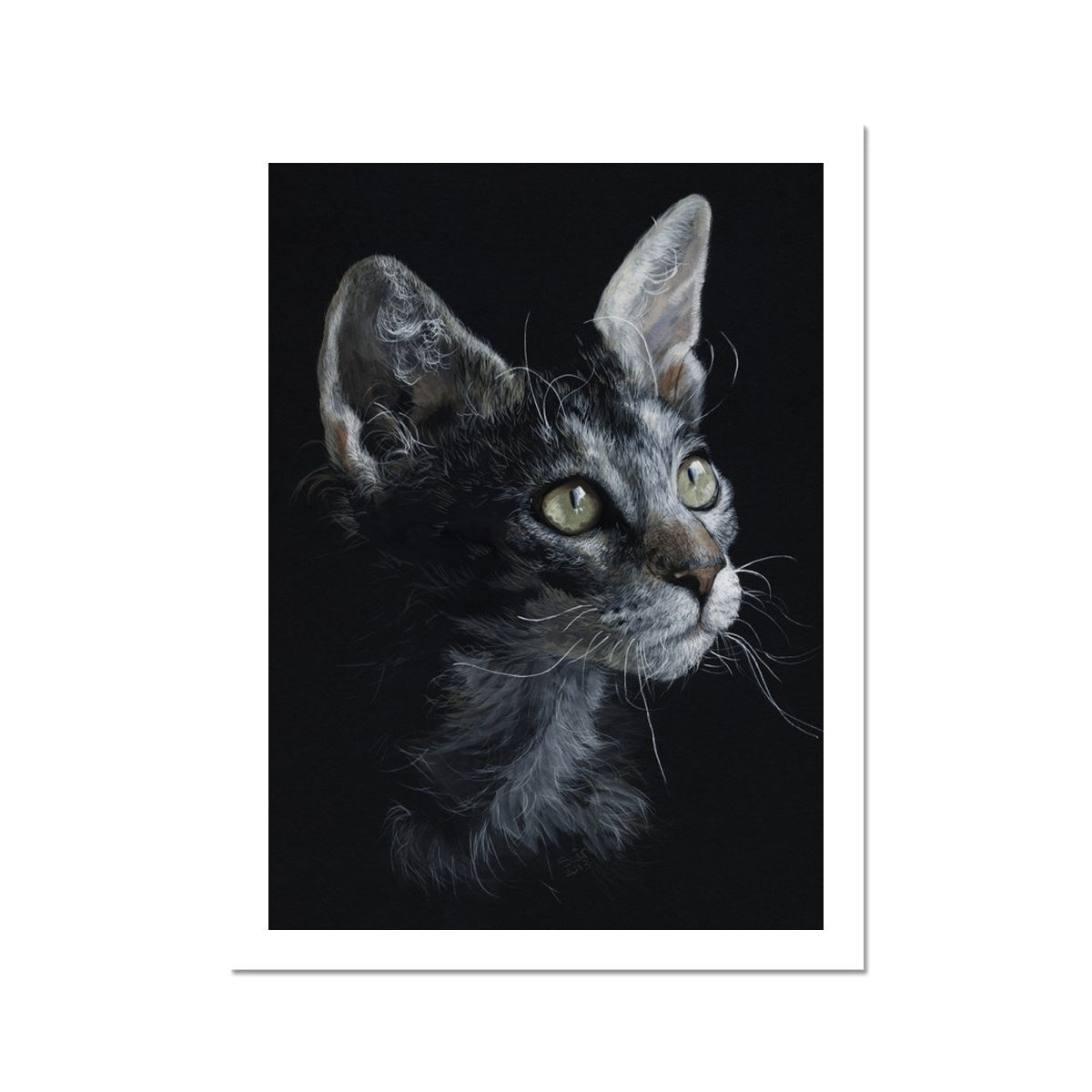 LaPerm Cat Fine Art Print