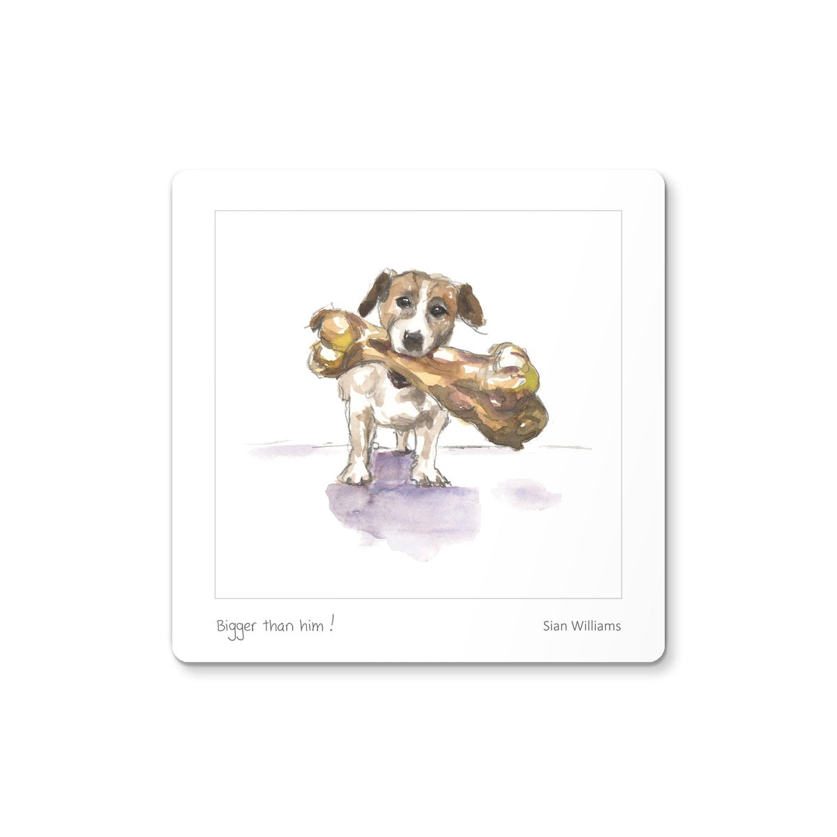 'Bigger than him!' Coaster