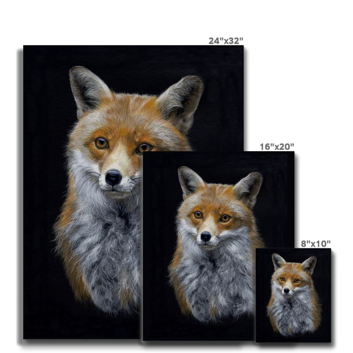 Red Fox Canvas
