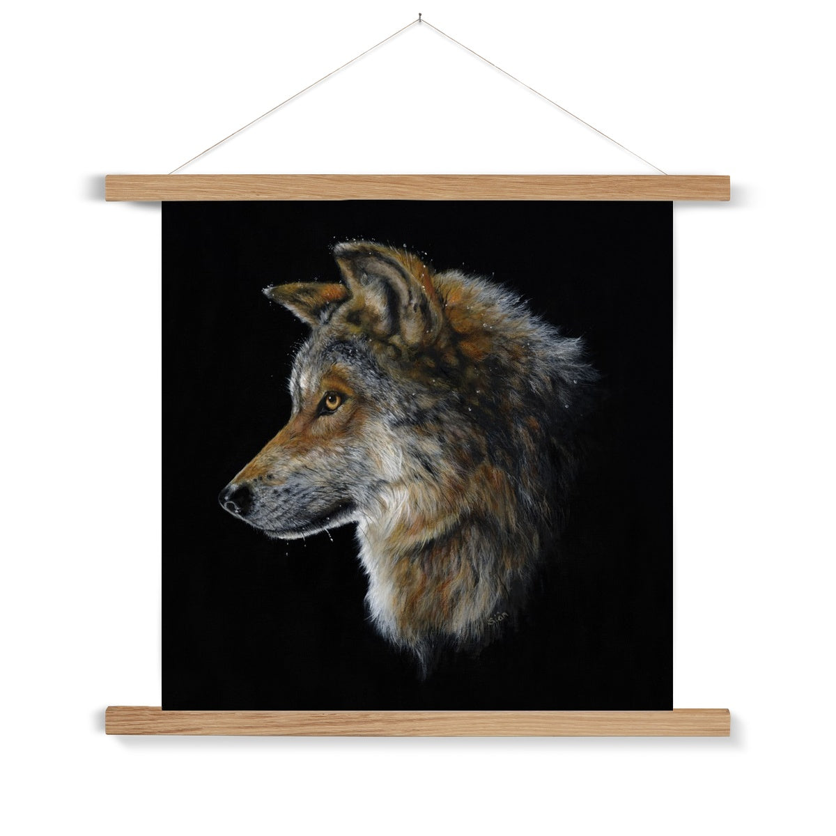 Snow Wolf Fine Art Print with Hanger