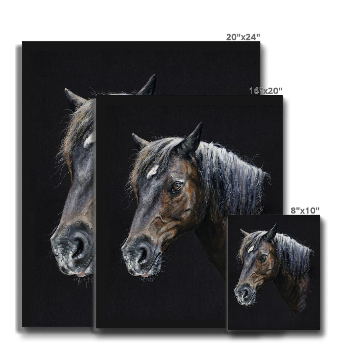 Merlin the Welsh Pony Canvas