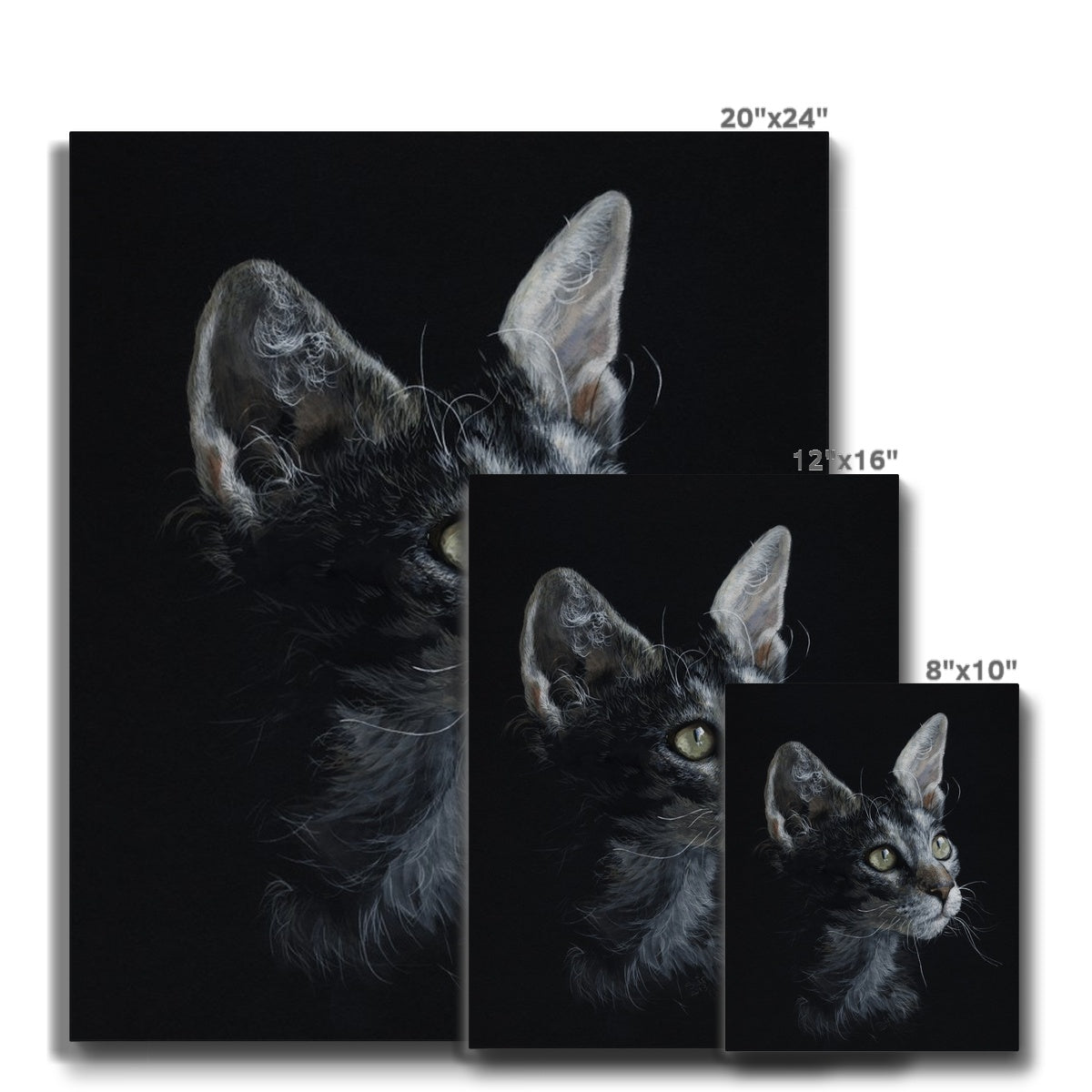 LaPerm Cat Canvas