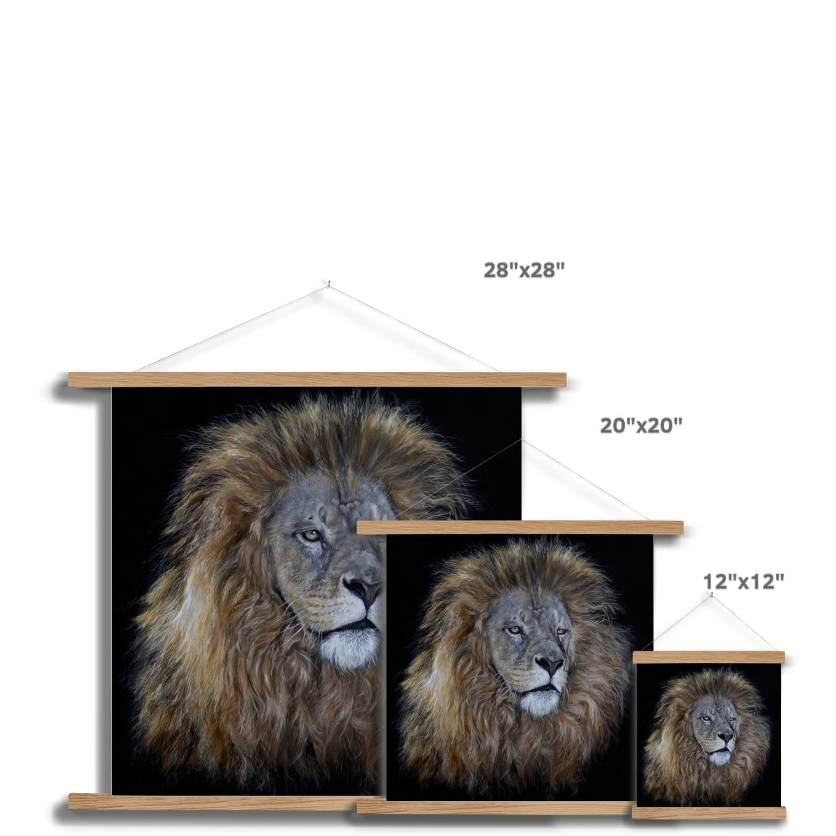 African Lion Fine Art Print with Hanger