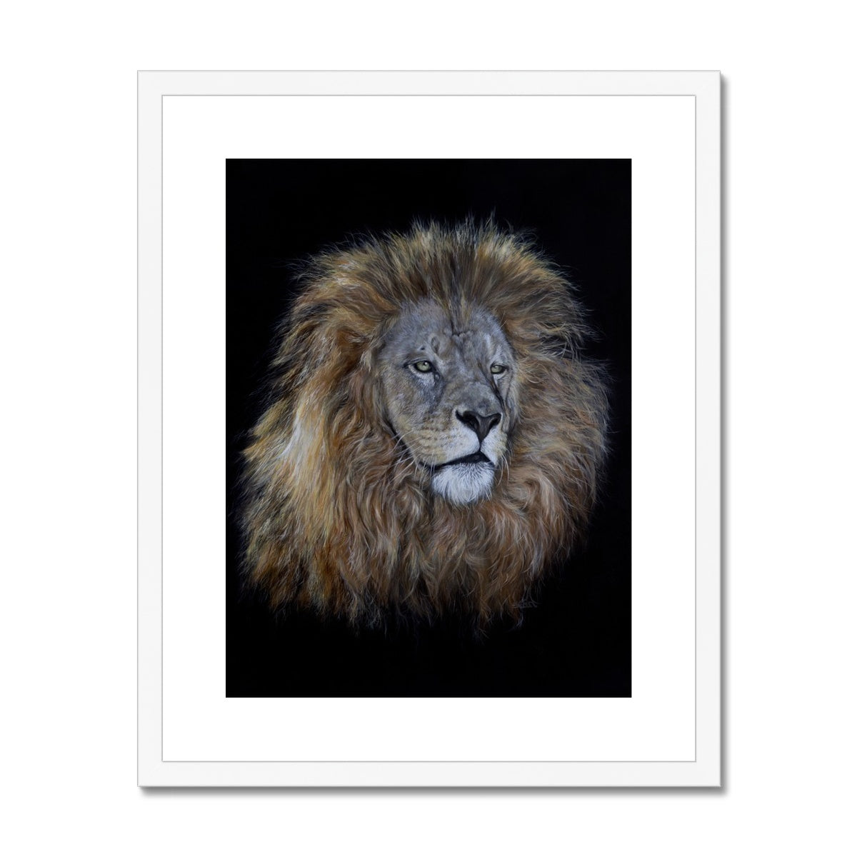 African Lion Framed & Mounted Print