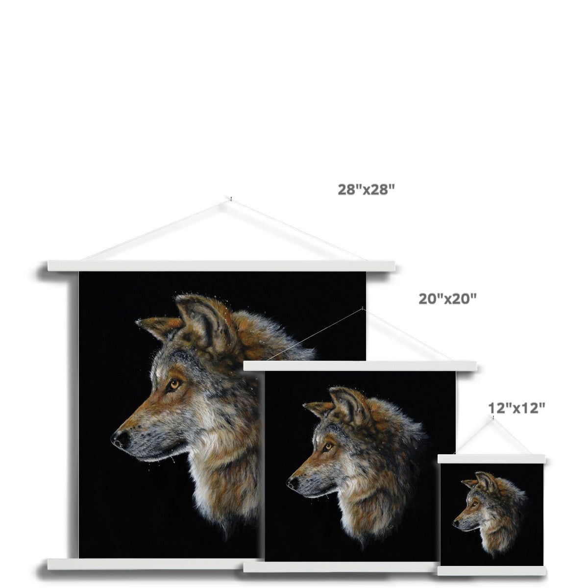 Snow Wolf Fine Art Print with Hanger