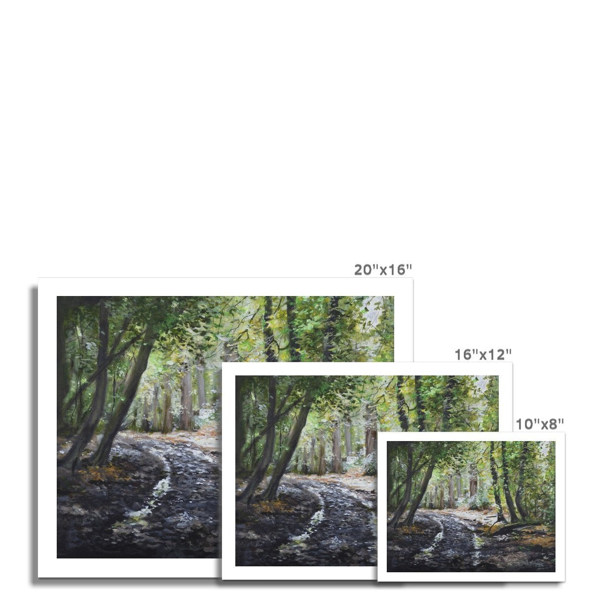 Sutton Park 2020 Fine Art Print