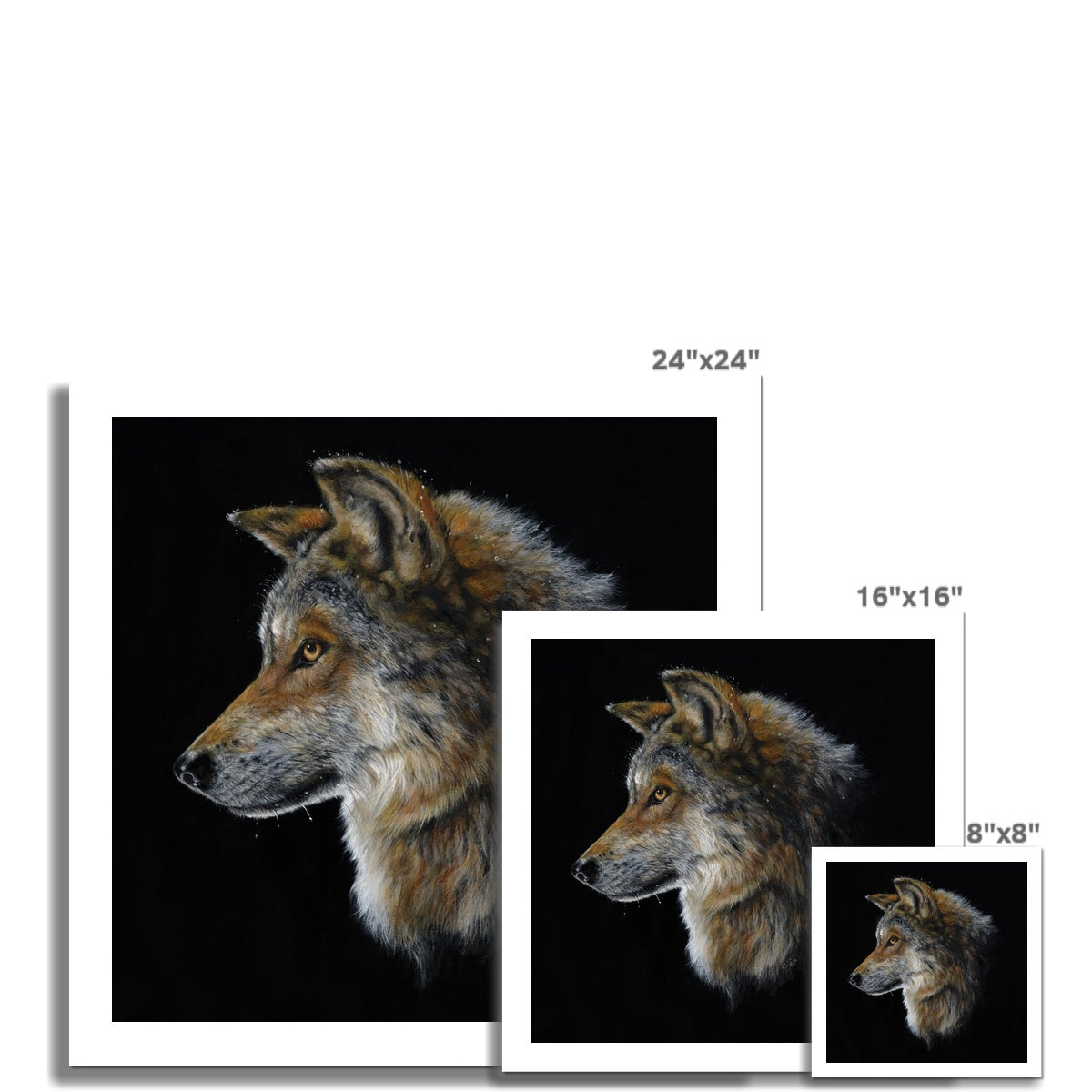 Snow Wolf Fine Art Print