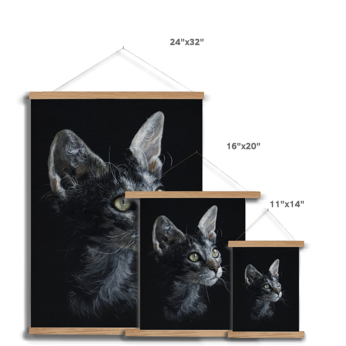LaPerm Cat Fine Art Print with Hanger