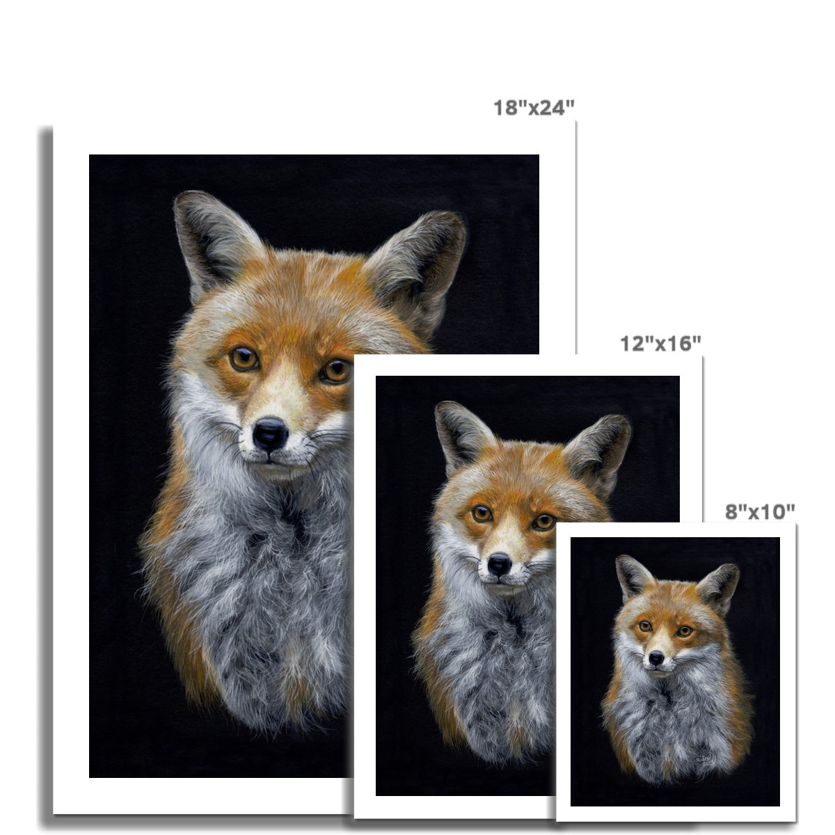 Red Fox Fine Art Print