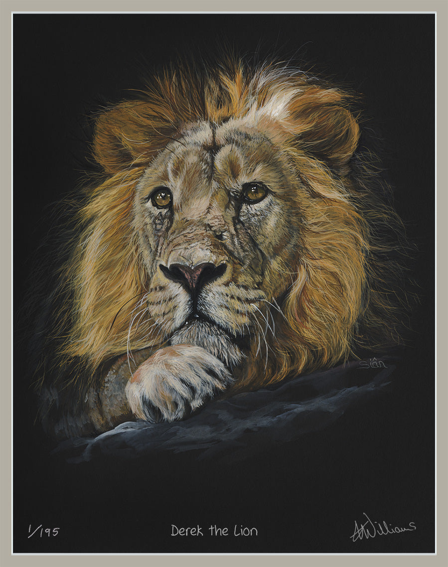 Derek the Lion - limited edition