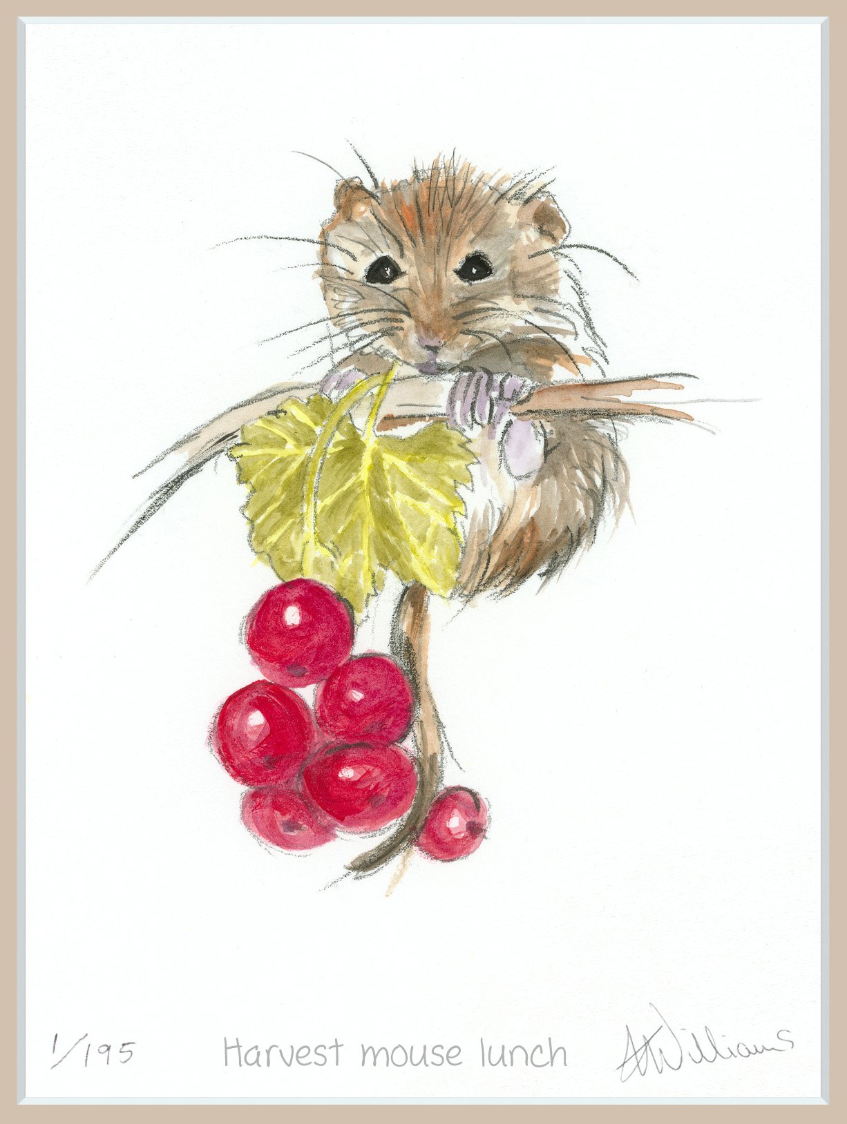 'Harvest mouse lunch' - limited edition