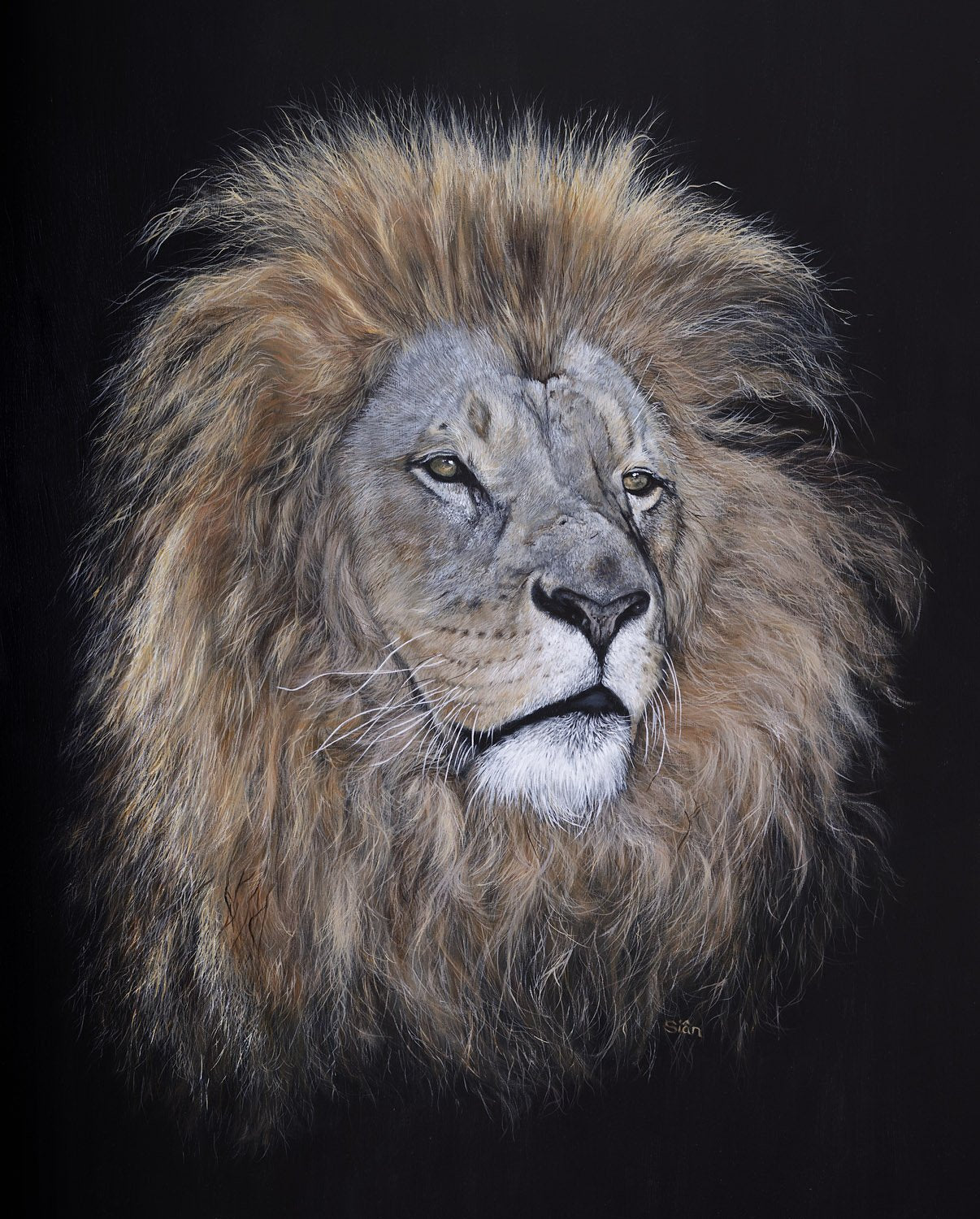 'Horace' - original