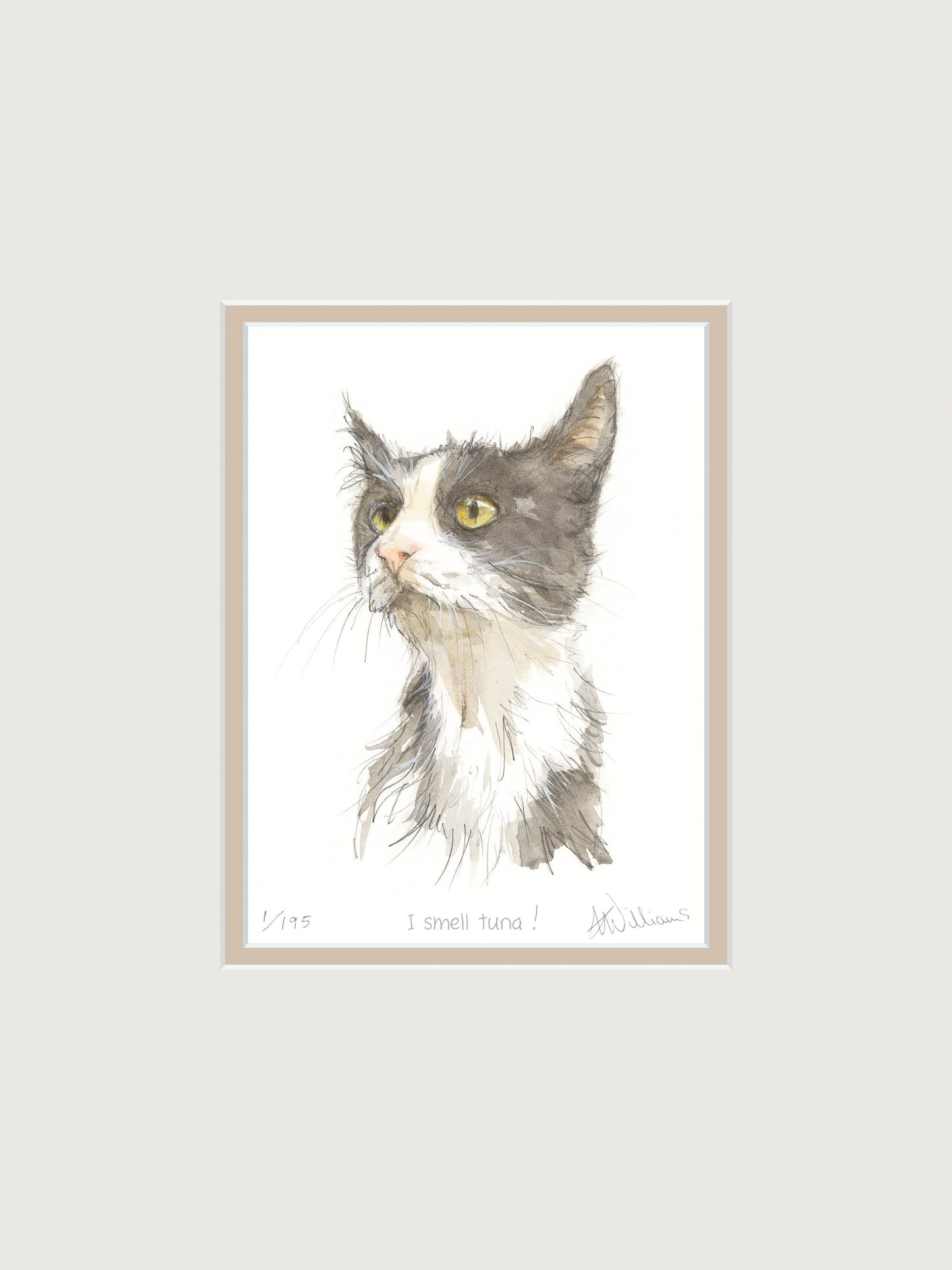 'I smell tuna!' - limited edition