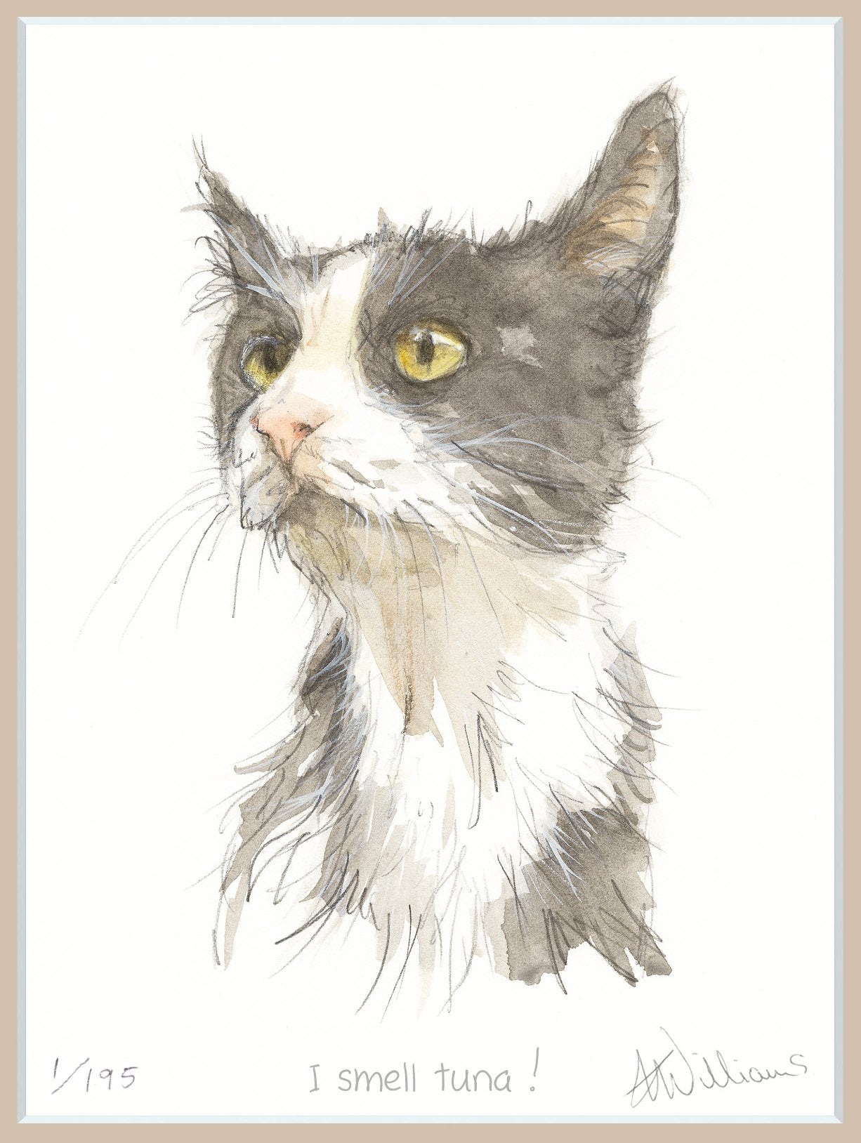 'I smell tuna!' - limited edition