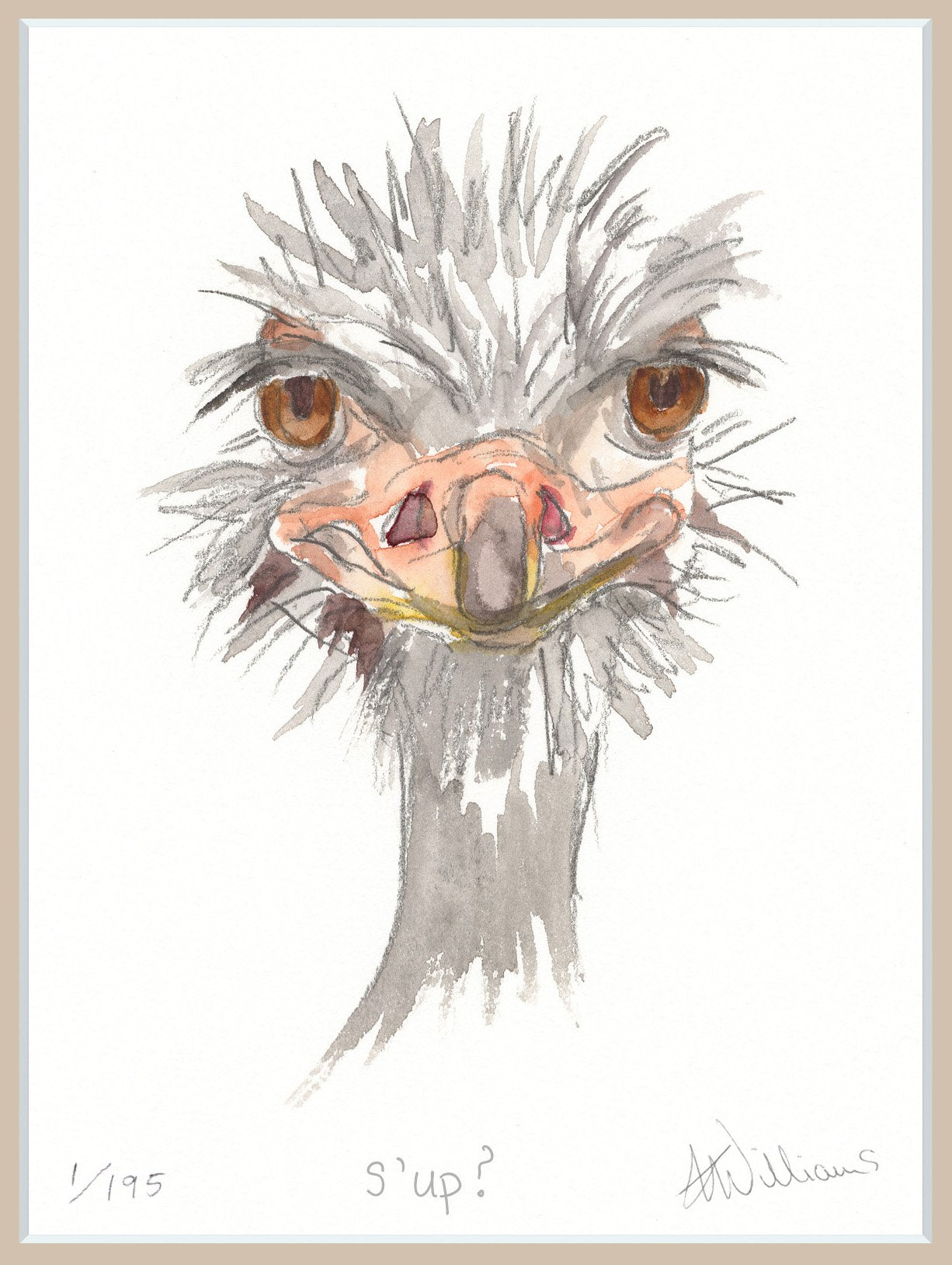 'S'up?' - limited edition