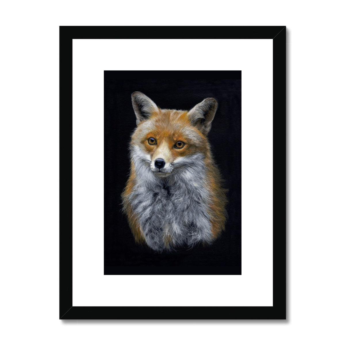 Red Fox Framed & Mounted Print