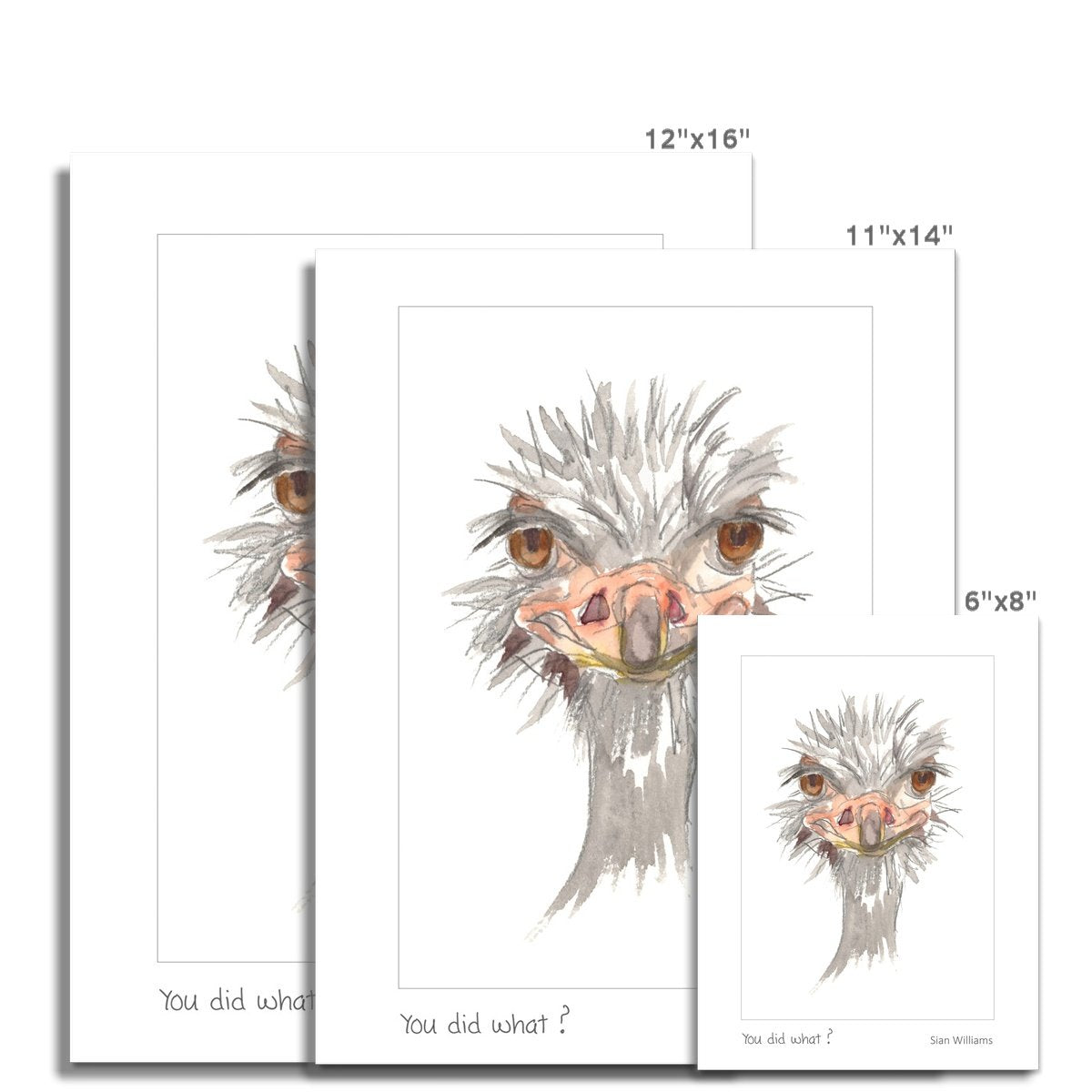 'You did what?' Fine Art Print