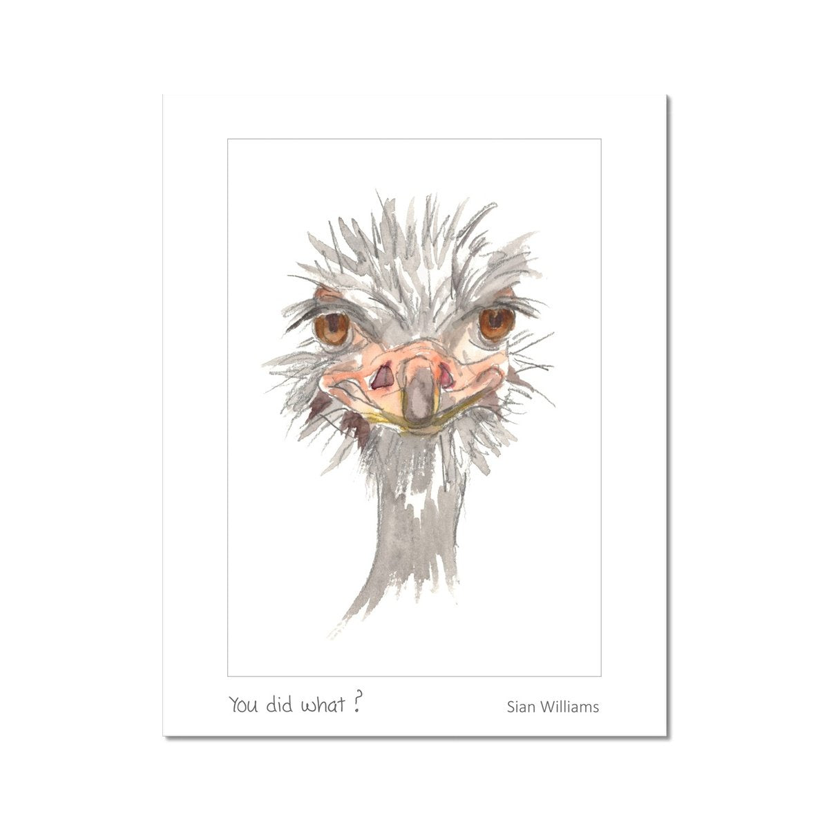 'You did what?' Fine Art Print