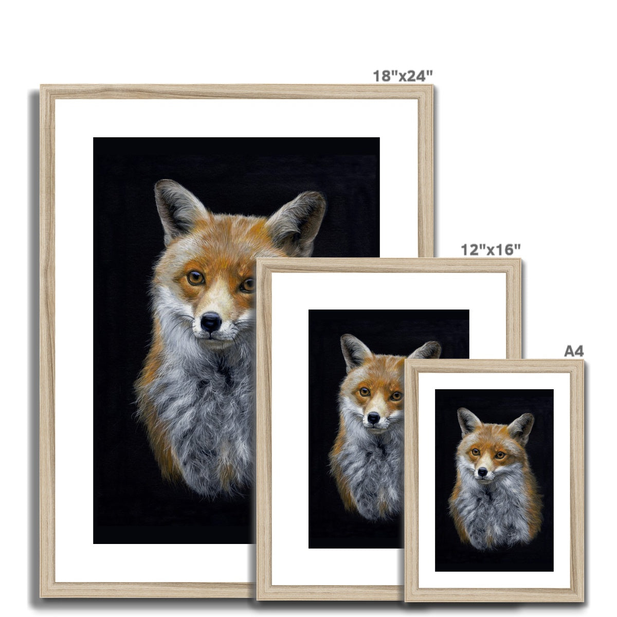 Red Fox Framed & Mounted Print