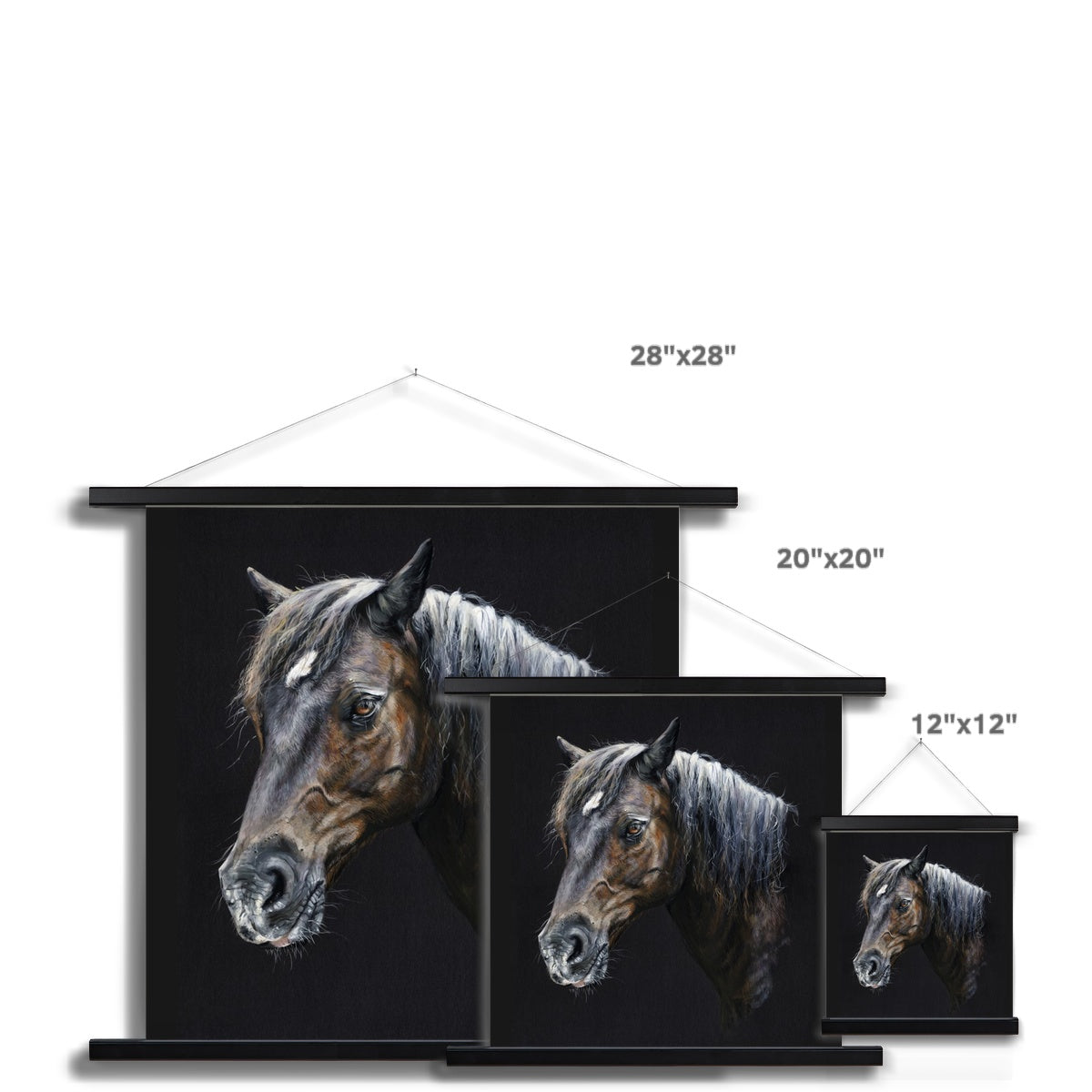 Merlin the Welsh Pony Fine Art Print with Hanger