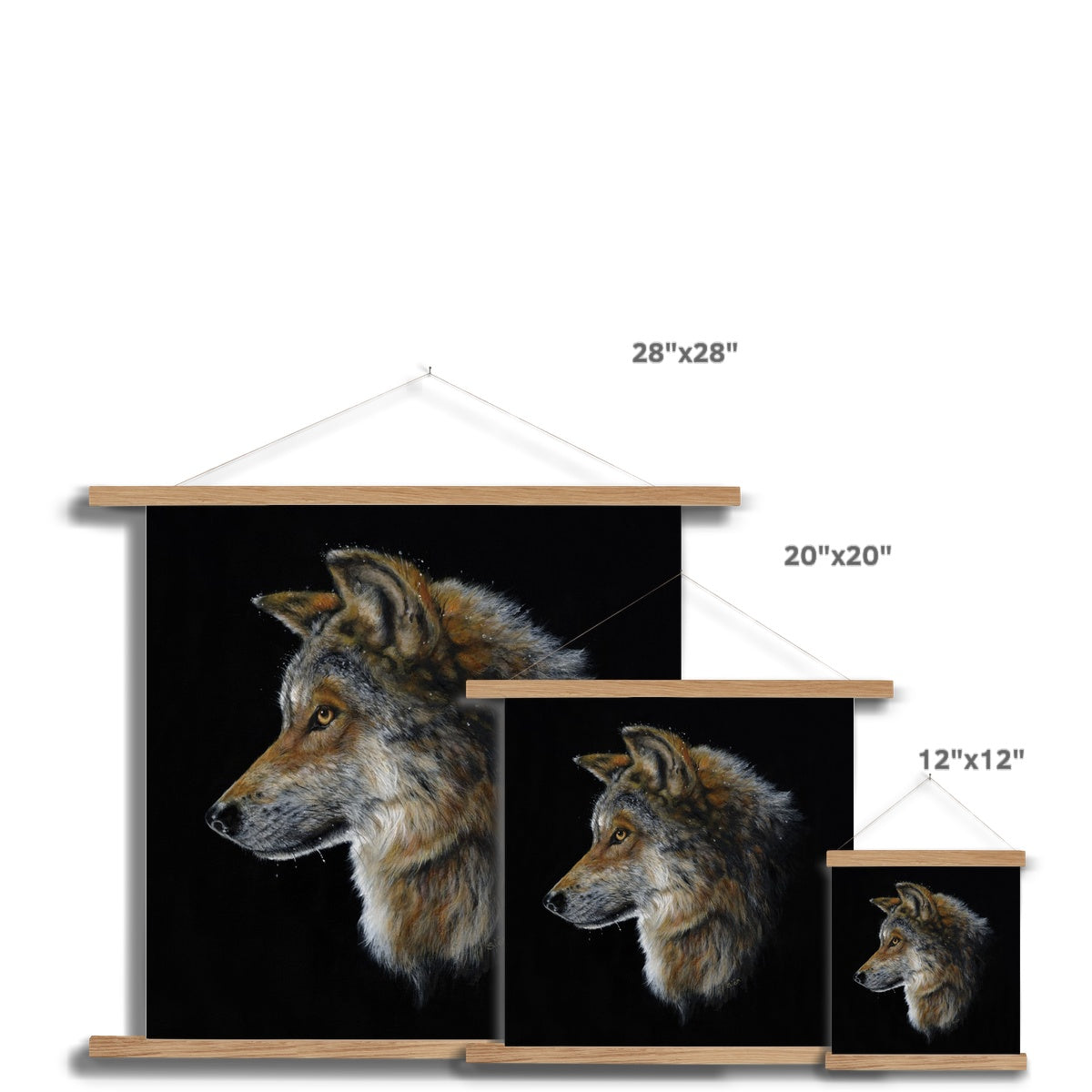 Snow Wolf Fine Art Print with Hanger