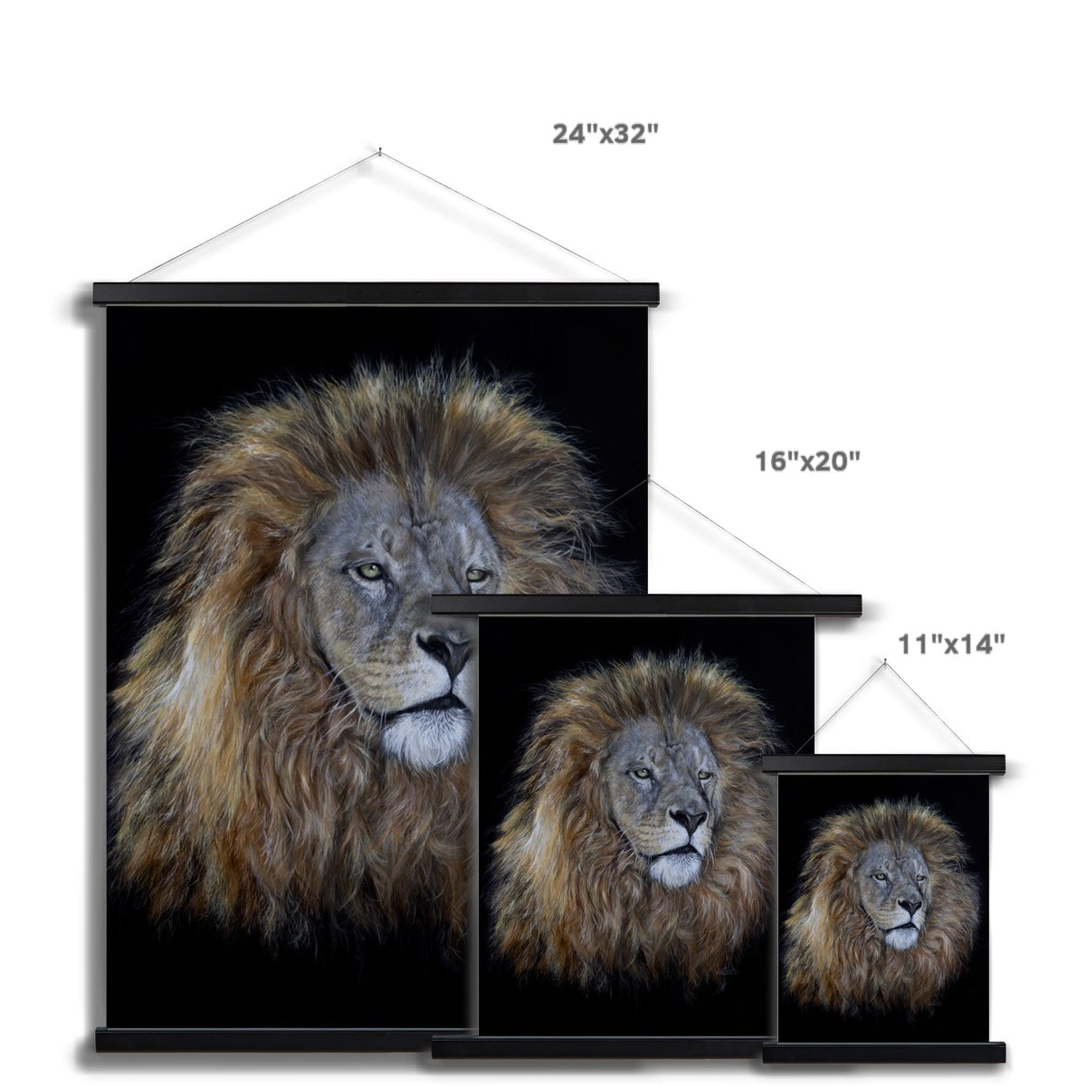 African Lion Fine Art Print with Hanger