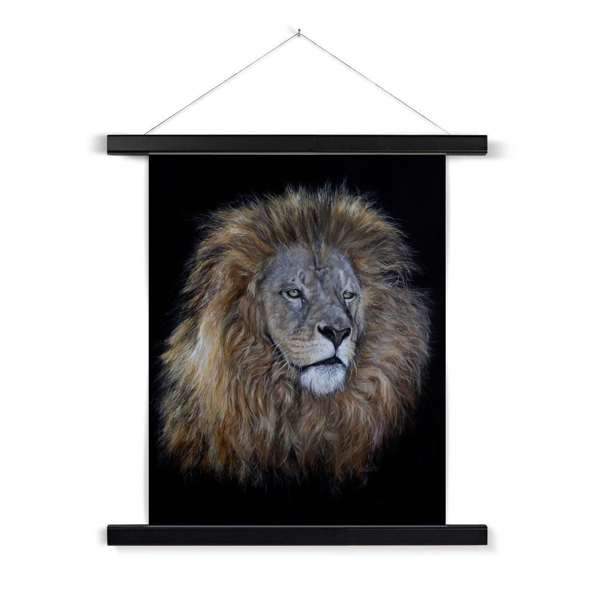African Lion Fine Art Print with Hanger