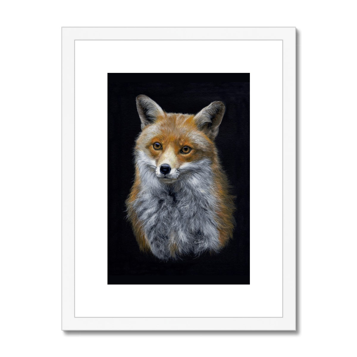 Red Fox Framed & Mounted Print