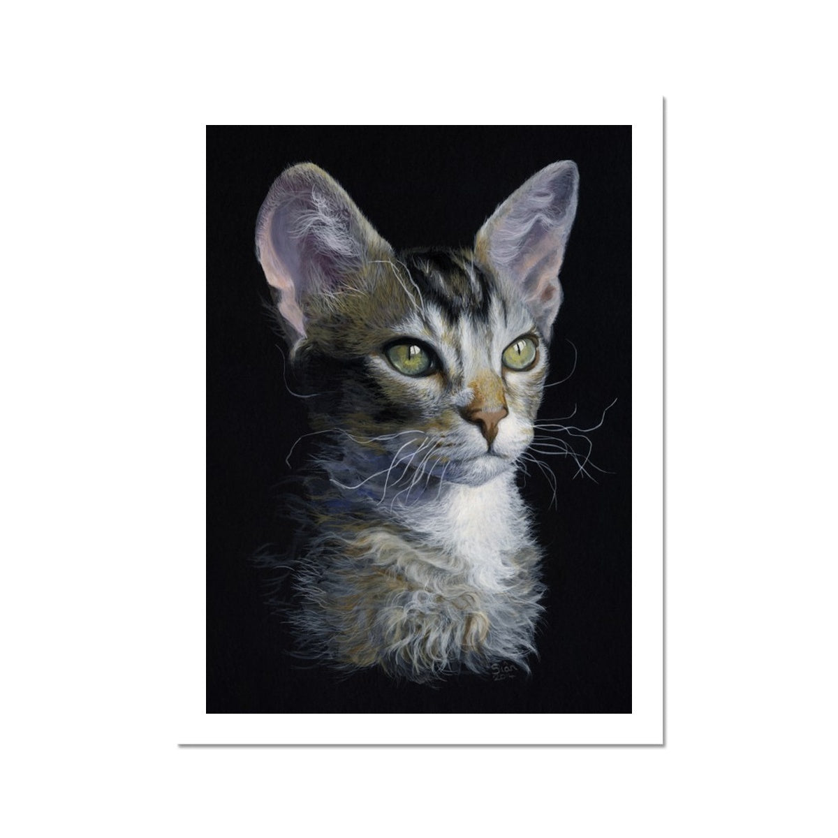 Young LaPerm Fine Art Print