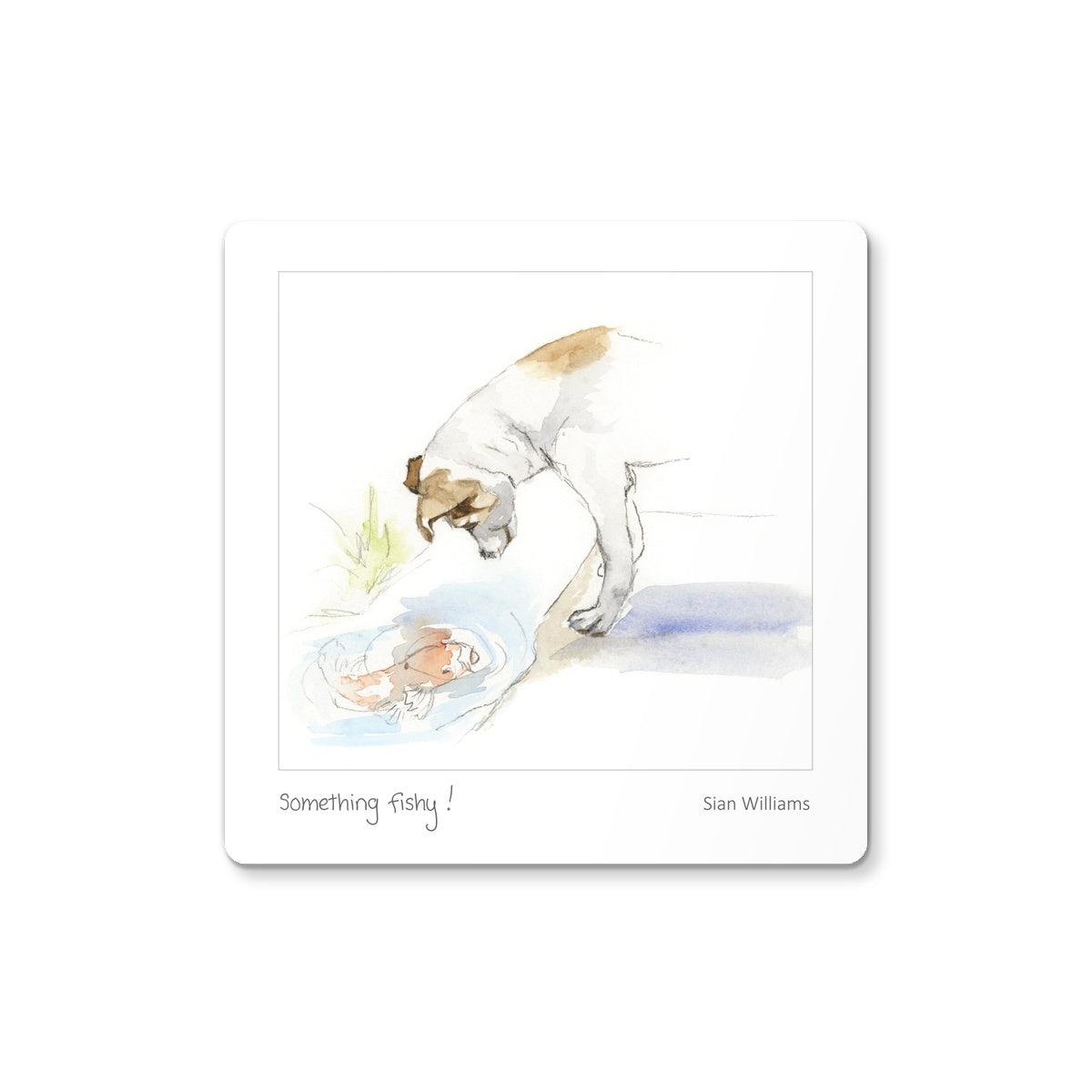 'Something fishy!' Coaster