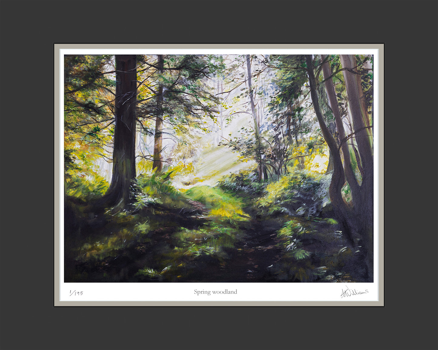 Spring Woodland - limited edition