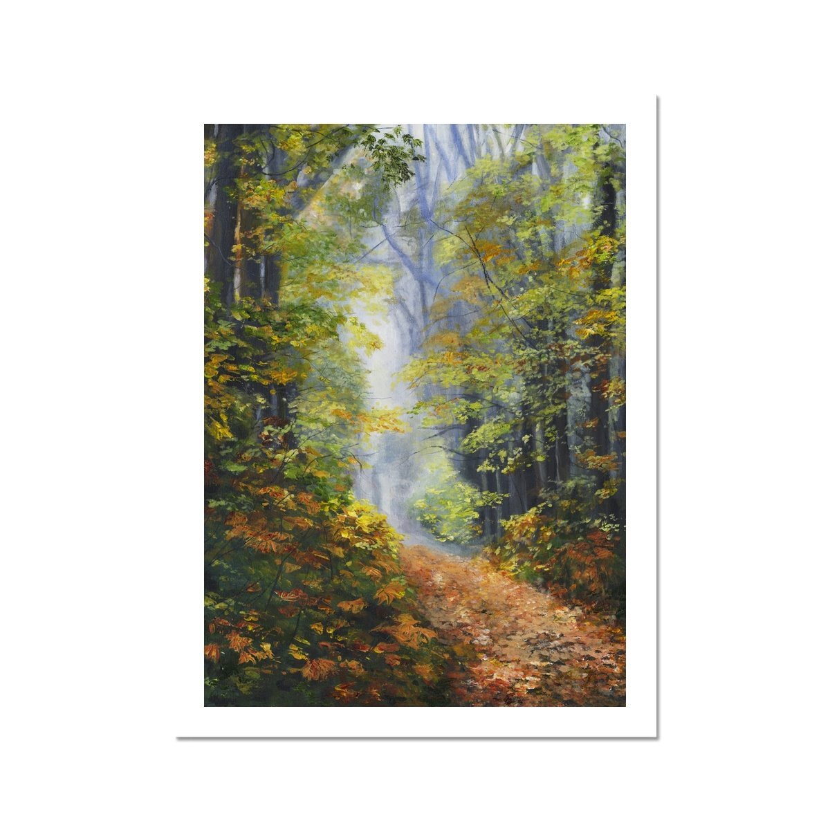 Autumn Woodland Fine Art Print