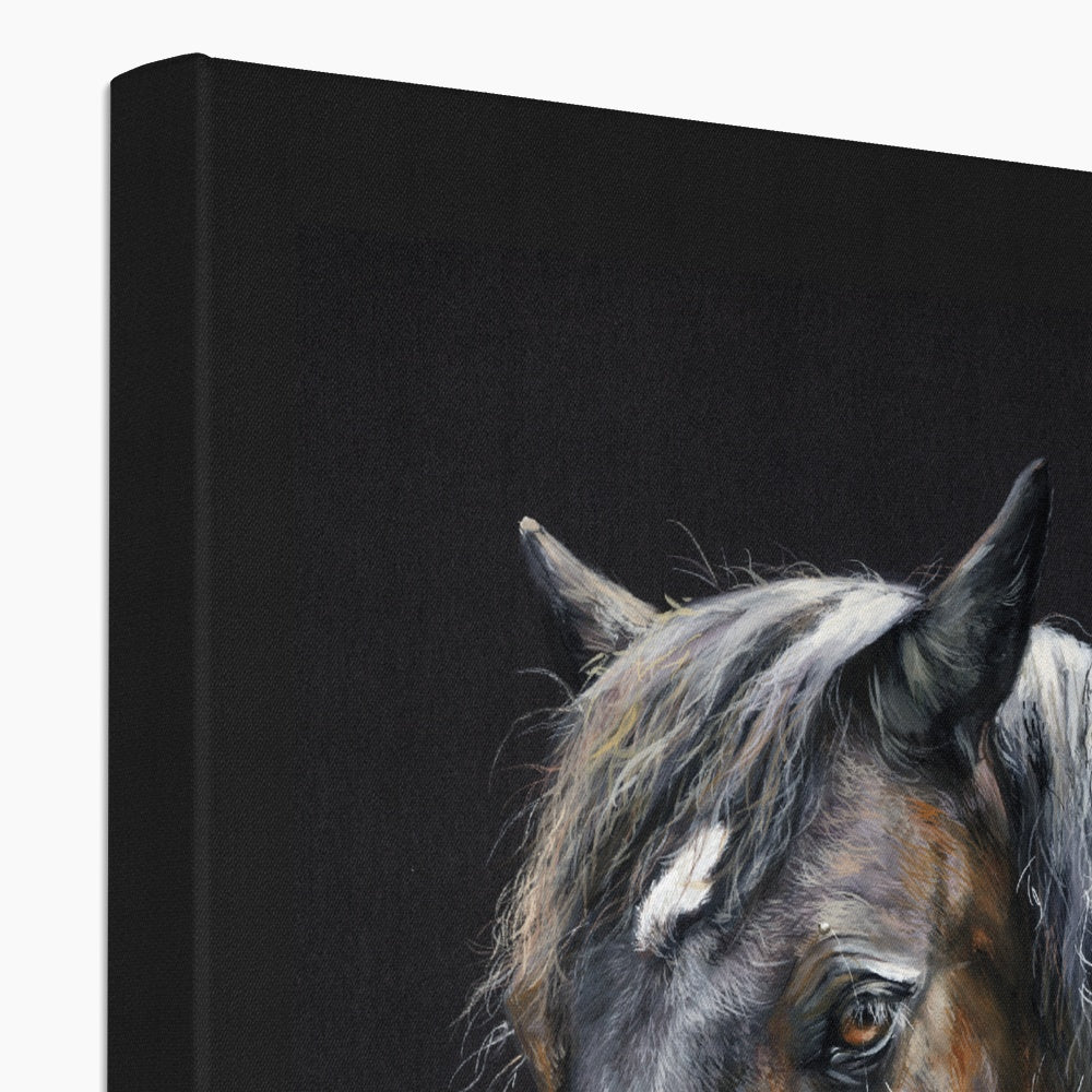 Merlin the Welsh Pony Canvas