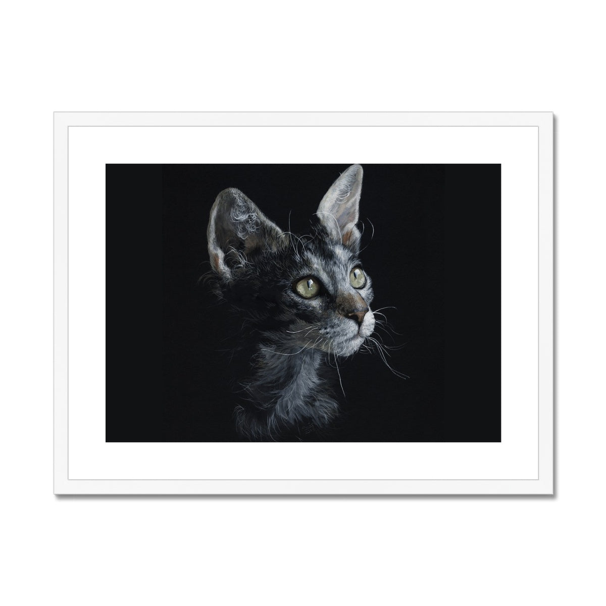 LaPerm Cat Framed & Mounted Print