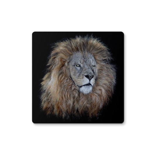 'African Lion' Coaster