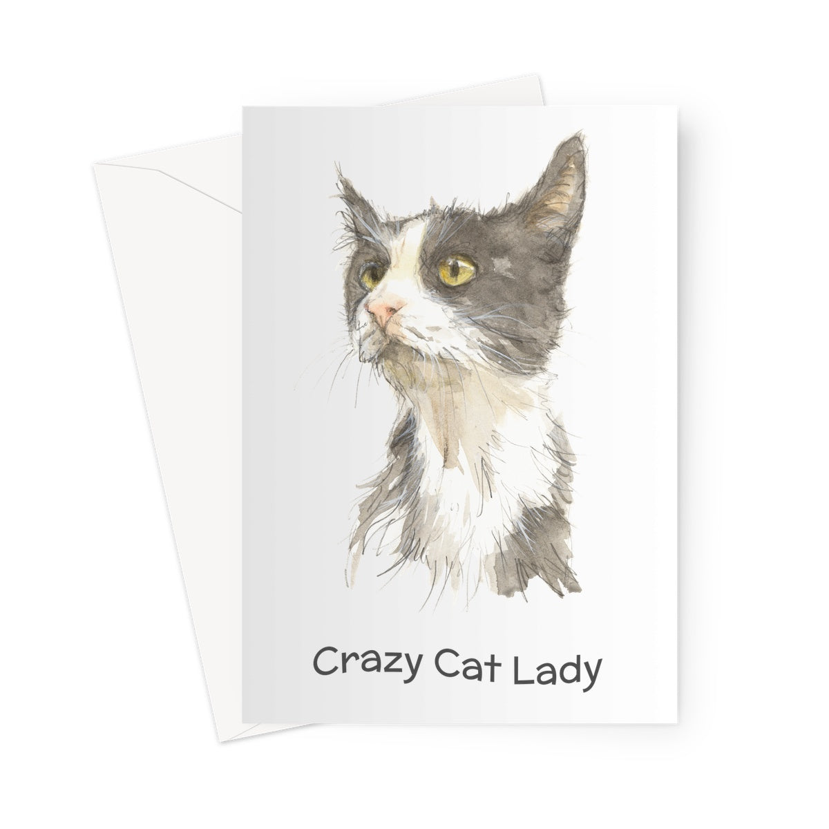 'Crazy Cat Lady' Greetings Card