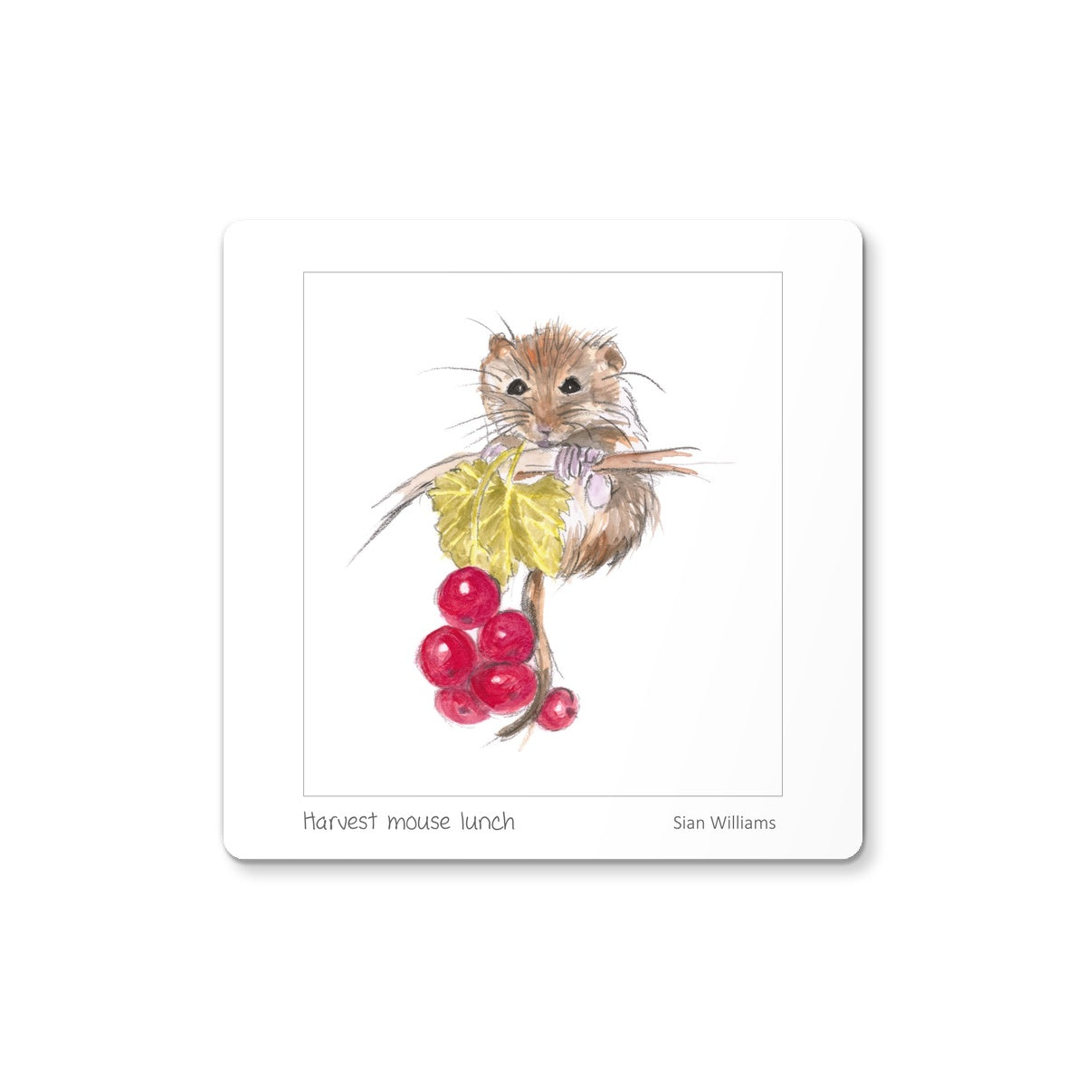 'Harvest mouse lunch' Coaster