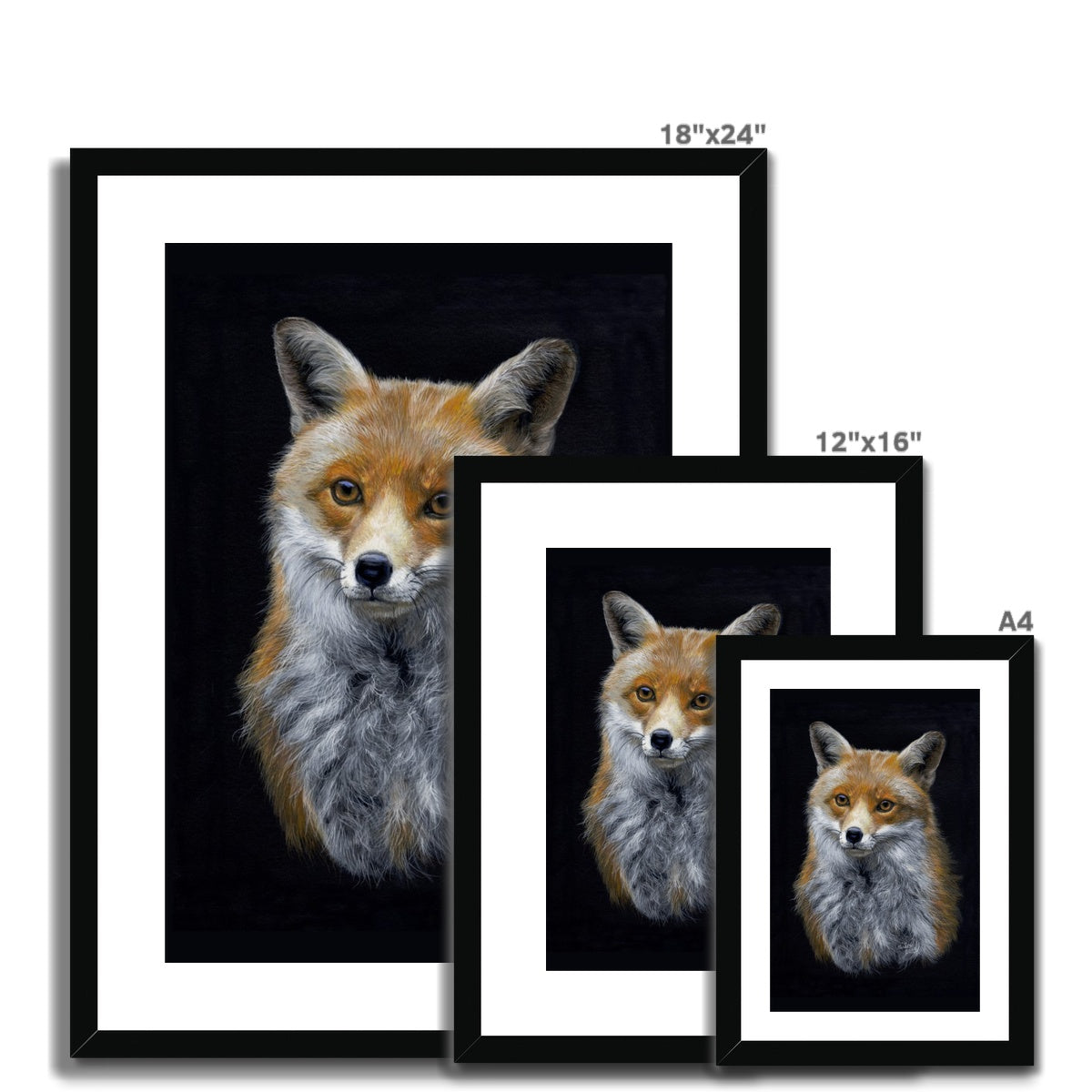 Red Fox Framed & Mounted Print