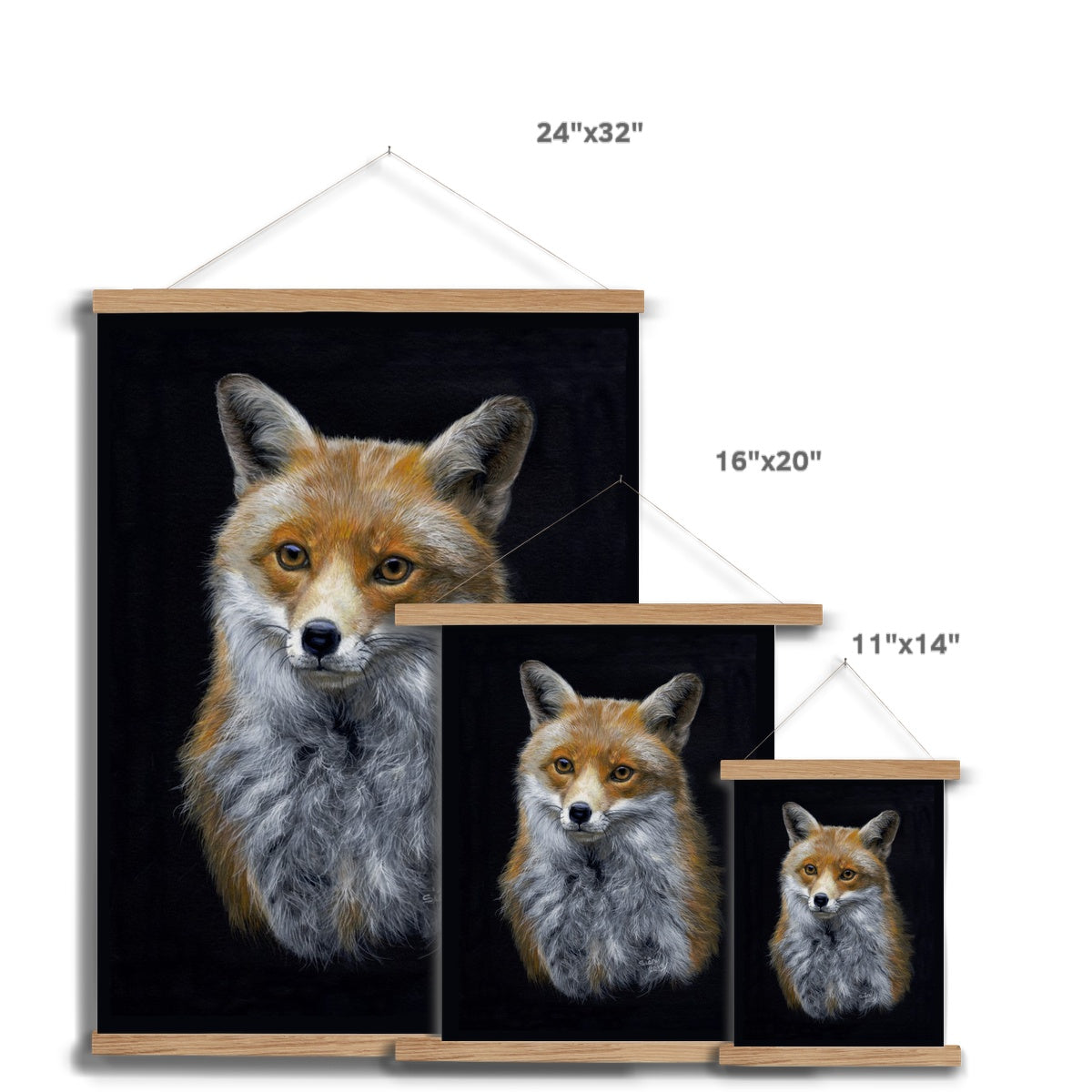 Red Fox Fine Art Print with Hanger