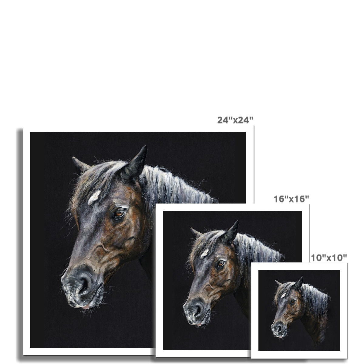 Fine Art Print - Merlin the Welsh Pony