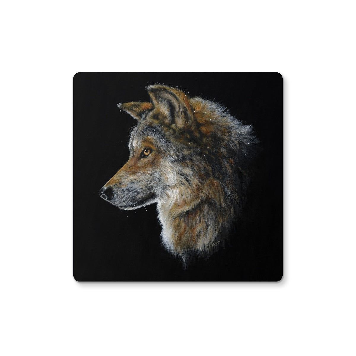 'Snow Wolf' Coaster