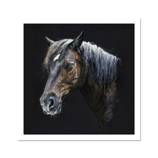 Fine Art Print - Merlin the Welsh Pony